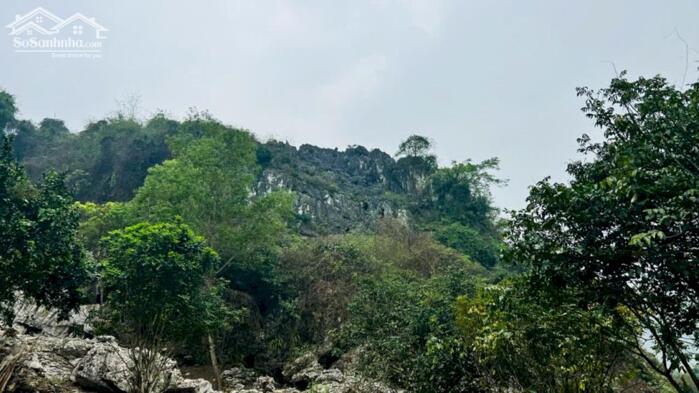 Hình ảnh BÁN LÔ ĐẤT “VỪA ĐẸP VỪA CHẤT” GẦN SÂN GÔN PHƯỢNG HOÀNG – KHÓ TÌM NHƯ NGƯỜI YÊU CŨ MÀ VẪN ...! 1