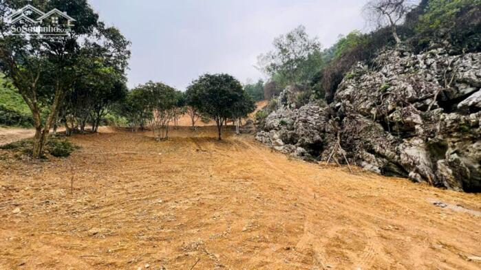 Hình ảnh BÁN LÔ ĐẤT “VỪA ĐẸP VỪA CHẤT” GẦN SÂN GÔN PHƯỢNG HOÀNG – KHÓ TÌM NHƯ NGƯỜI YÊU CŨ MÀ VẪN ...! 0