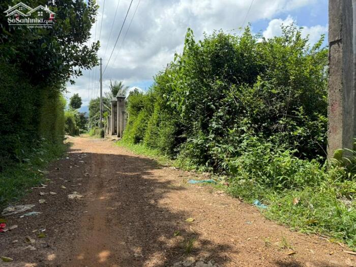 Hình ảnh Cơ hội vàng sở hữu lô đất siêu đẹp tại Ea Hu- Cư kuin kdc sầm uất đủ tiện ích sát tỉnh lộ 290m2 full thổ chỉ 7xxtr 3