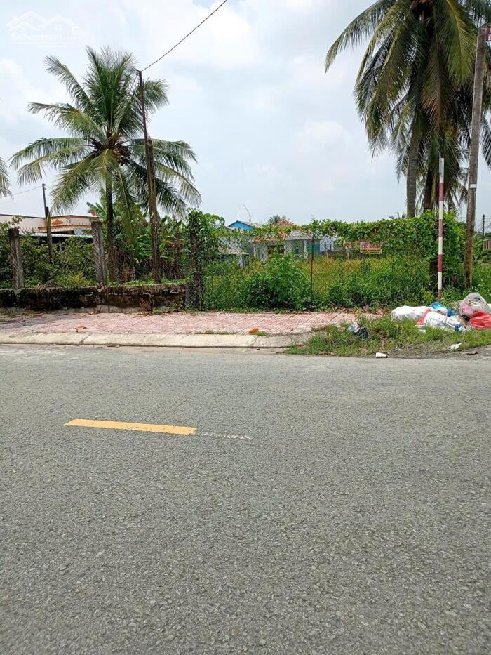 Hình ảnh 20×50 Mt đường Hoàng Anh, P Tân Khánh TP Tân An 1