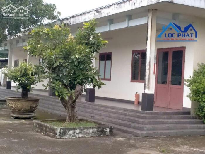 Hình ảnh Cho thuê đất , kho bãi 1,5ha tại Phường Long Hưng giá chỉ 70 triệu 1