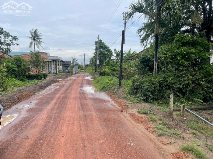 Hình ảnh Lô góc 2 mt đường xe hơi 146m2 xã Tân Lân giá rẻ 650tr 1