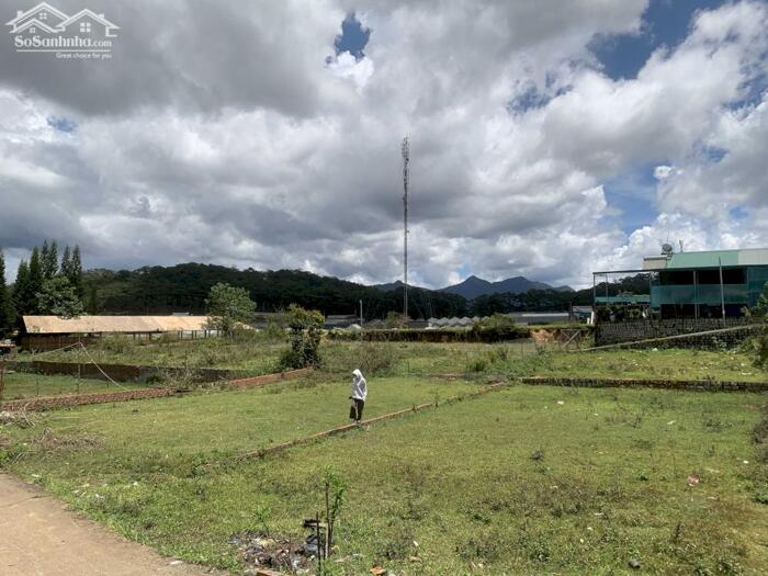 Hình ảnh Bán Đất Đường Măng Lin, Phường 7, TP. Đà Lạt – Full Thổ Cư, Vị Trí Đẹp View Thông Thoáng 2