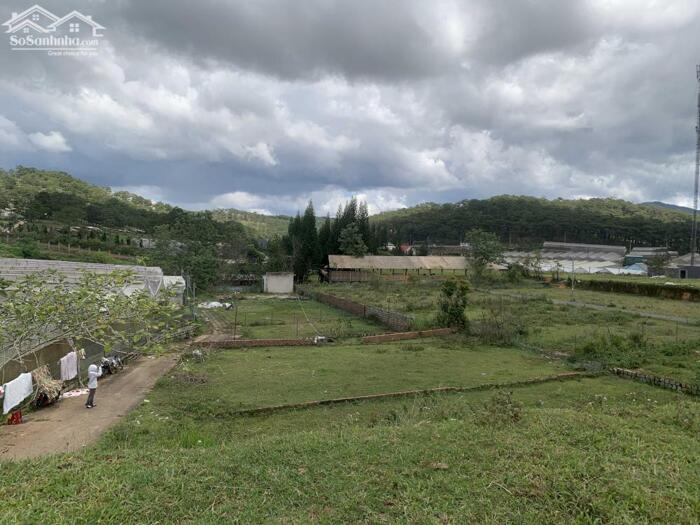 Hình ảnh Bán Đất Đường Măng Lin, Phường 7, TP. Đà Lạt – Full Thổ Cư, Vị Trí Đẹp View Thông Thoáng 6