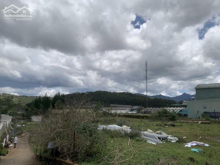 Hình ảnh Bán Đất Đường Măng Lin, Phường 7, TP. Đà Lạt – Full Thổ Cư, Vị Trí Đẹp View Thông Thoáng 3