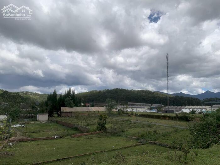 Hình ảnh Bán Đất Đường Măng Lin, Phường 7, TP. Đà Lạt – Full Thổ Cư, Vị Trí Đẹp View Thông Thoáng 4