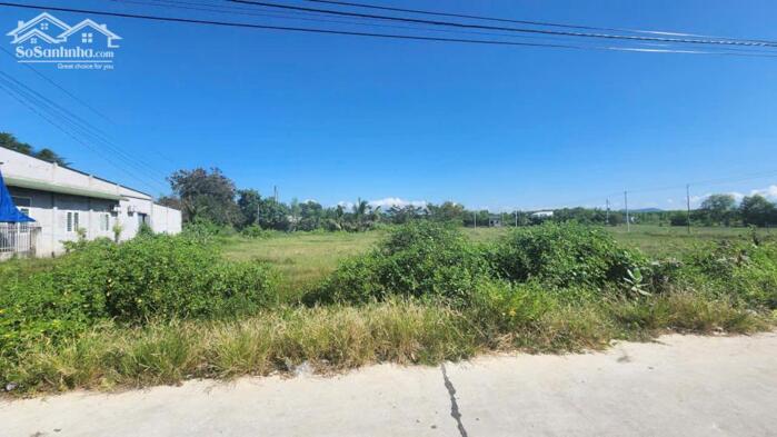 Hình ảnh bán đất 5x26 full thổ cư gần biển Tân Bình, LaGi. đường 5m, sổ riêng, giá ngợp 670 triệu 3