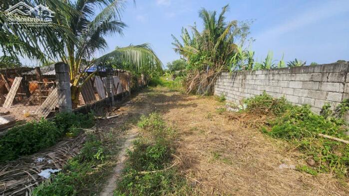 Hình ảnh bán đất 6x33 Full Thổ Cư, Nguyễn Tri Phương, Tân Bình, LaGi. gần biển, giá rẻ, đường 6m 0