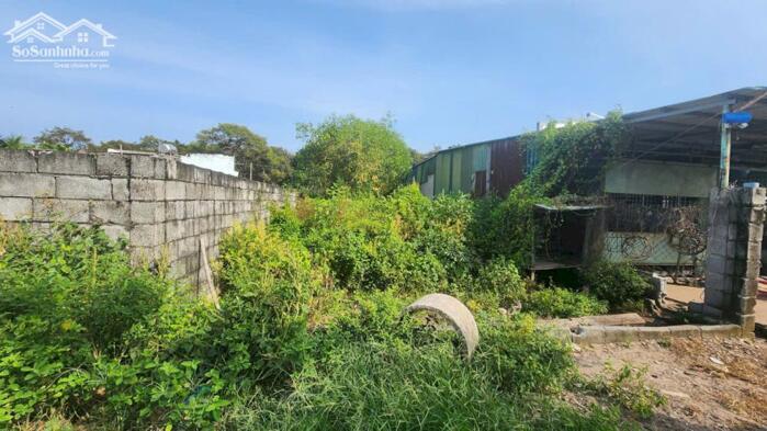 Hình ảnh bán đất 6x33 Full Thổ Cư, Nguyễn Tri Phương, Tân Bình, LaGi. gần biển, giá rẻ, đường 6m 4