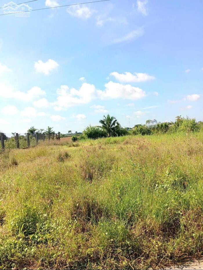 Hình ảnh B.á.n (16x41) đất thổ, ôtô gần ngã tư Bình Ân, Gò Công Đông, Tiền Giang cũ 3