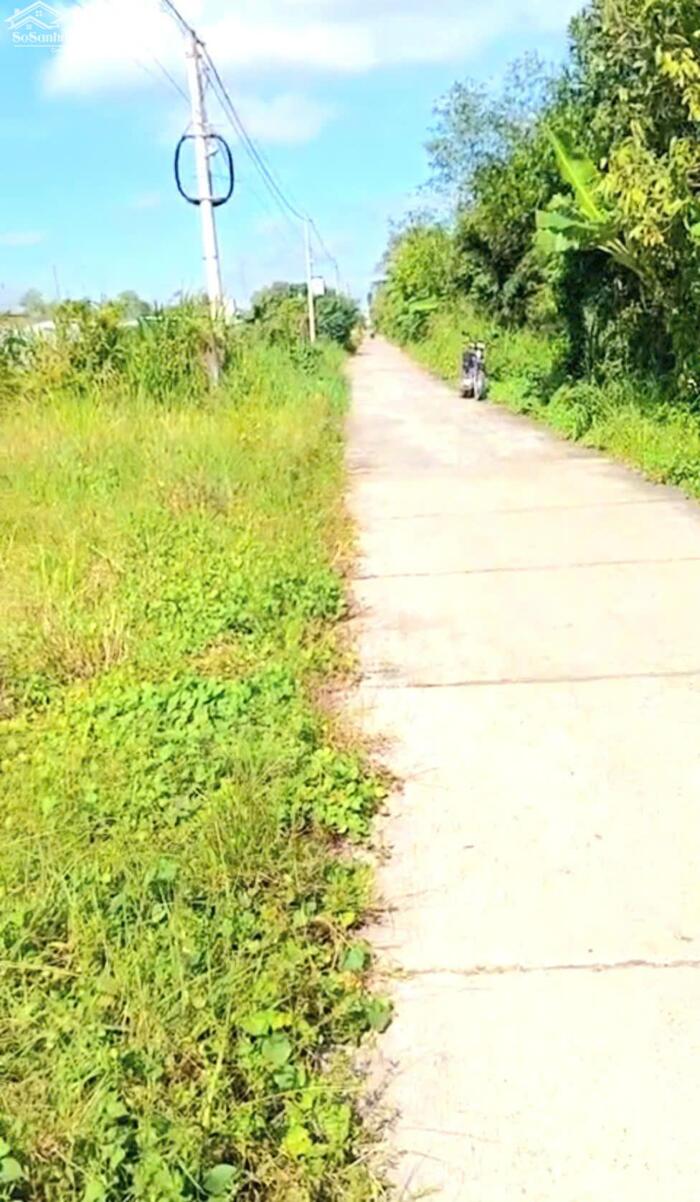 Hình ảnh B.á.n (16x41) đất thổ, ôtô gần ngã tư Bình Ân, Gò Công Đông, Tiền Giang cũ 0