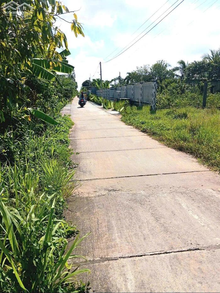 Hình ảnh B.á.n (16x41) đất thổ, ôtô gần ngã tư Bình Ân, Gò Công Đông, Tiền Giang cũ 1