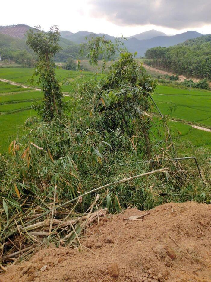 Hình ảnh CHÍNH CHỦ BÁN ĐẤT NGHỈ DƯỠNG VIEW CÁNH ĐỒNG BÁT NGÁT – CUỐI HẠ, KIM BÔI, HÒA BÌNH 2