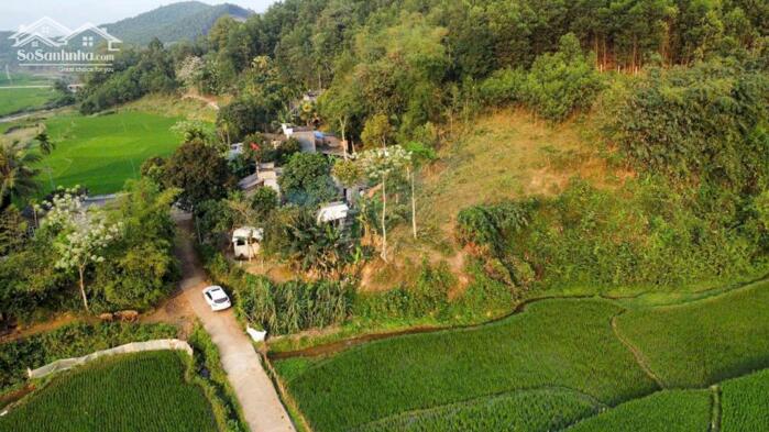 Hình ảnh CHÍNH CHỦ BÁN ĐẤT NGHỈ DƯỠNG VIEW CÁNH ĐỒNG BÁT NGÁT – CUỐI HẠ, KIM BÔI, HÒA BÌNH 1