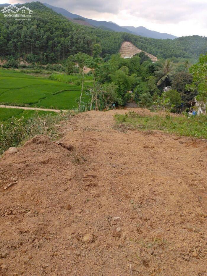 Hình ảnh CHÍNH CHỦ BÁN ĐẤT NGHỈ DƯỠNG VIEW CÁNH ĐỒNG BÁT NGÁT – CUỐI HẠ, KIM BÔI, HÒA BÌNH 3