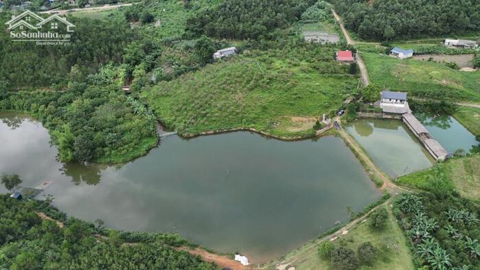 Hình ảnh Chính chủ bán lô đất 7.500m² tại Đú Sáng – Kim Bôi 1