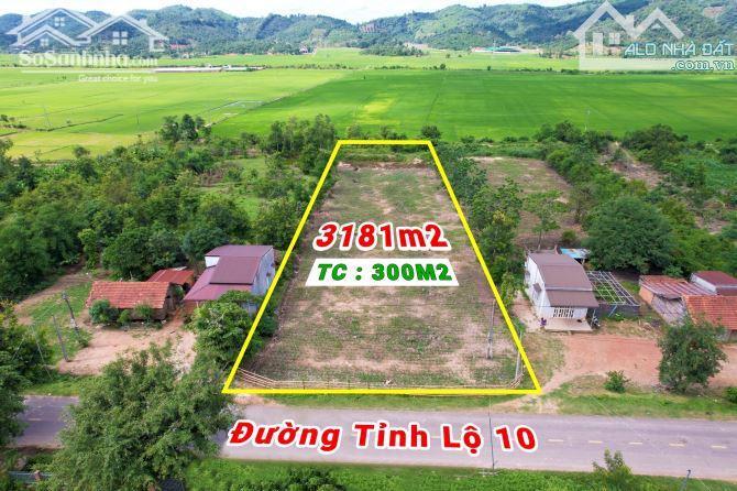 Hình ảnh Mặt Tiền Đường 690 Buôn Bông Krong Ana 3,5 Sào 28X125 Thổ Cư 300 2 Tỷ Quỳnh Anh 0