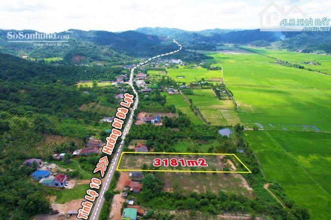 Hình ảnh Mặt Tiền Đường 690 Buôn Bông Krong Ana 3,5 Sào 28X125 Thổ Cư 300 2 Tỷ Quỳnh Anh 1