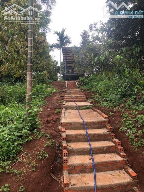 Hình ảnh 2,1 Sào View Hồ Đạt Lý 61X38M Cực Đẹp Hẻm 11A Chỉ 3,89 Tỷ Quỳnh Anh 2