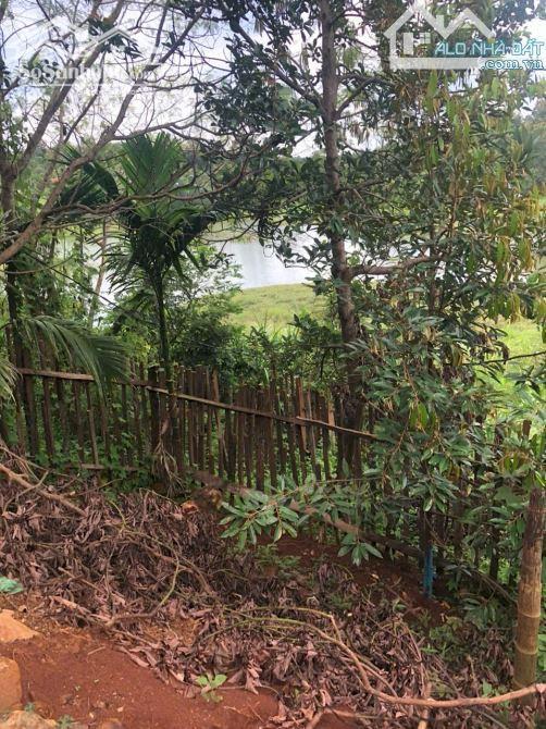 Hình ảnh 2,1 Sào View Hồ Đạt Lý 61X38M Cực Đẹp Hẻm 11A Chỉ 3,89 Tỷ Quỳnh Anh 0