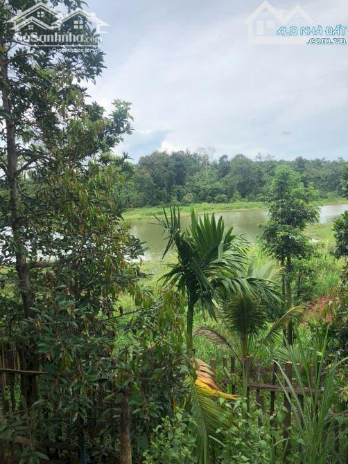 Hình ảnh 2,1 Sào View Hồ Đạt Lý 61X38M Cực Đẹp Hẻm 11A Chỉ 3,89 Tỷ Quỳnh Anh 1