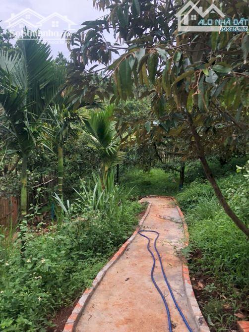 Hình ảnh 2,1 Sào View Hồ Đạt Lý 61X38M Cực Đẹp Hẻm 11A Chỉ 3,89 Tỷ Quỳnh Anh 3