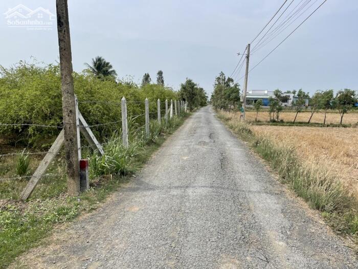 Hình ảnh (15x28) Đất đẹp thổ cư, mặt tiền nhựa, gần Chợ Bình Ân, Gò Công Đông , TG cũ 2