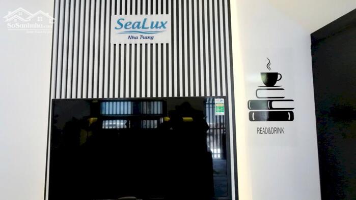 Hình ảnh Cho Thuê Nhà 4 Tầng Hẻm Hùng Vương – Thiết Kế Homestay, Văn Phòng, Cách Biển Chỉ 300m! 7