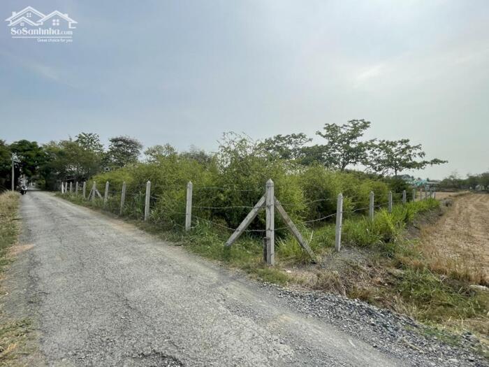Hình ảnh (15x28) Đất đẹp thổ cư, mặt tiền nhựa, gần Chợ Bình Ân, Gò Công Đông, Tiền Giang 0