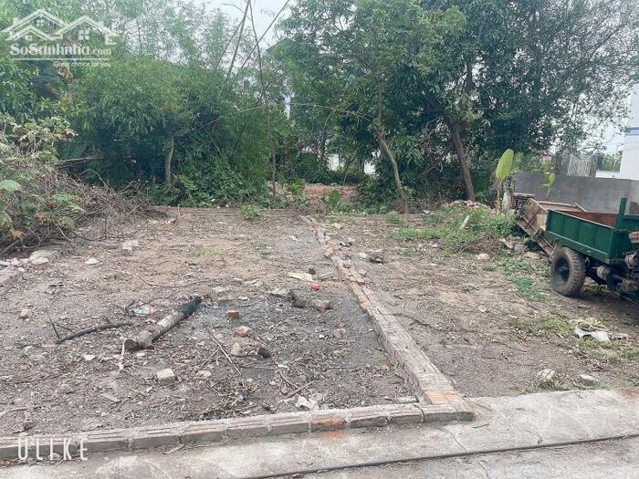 Hình ảnh Hiếm - Bán đất Hưng Giáo Tam Hưng Thanh Oai, 40m2 lô góc, ô tô, giá đầu tư 1