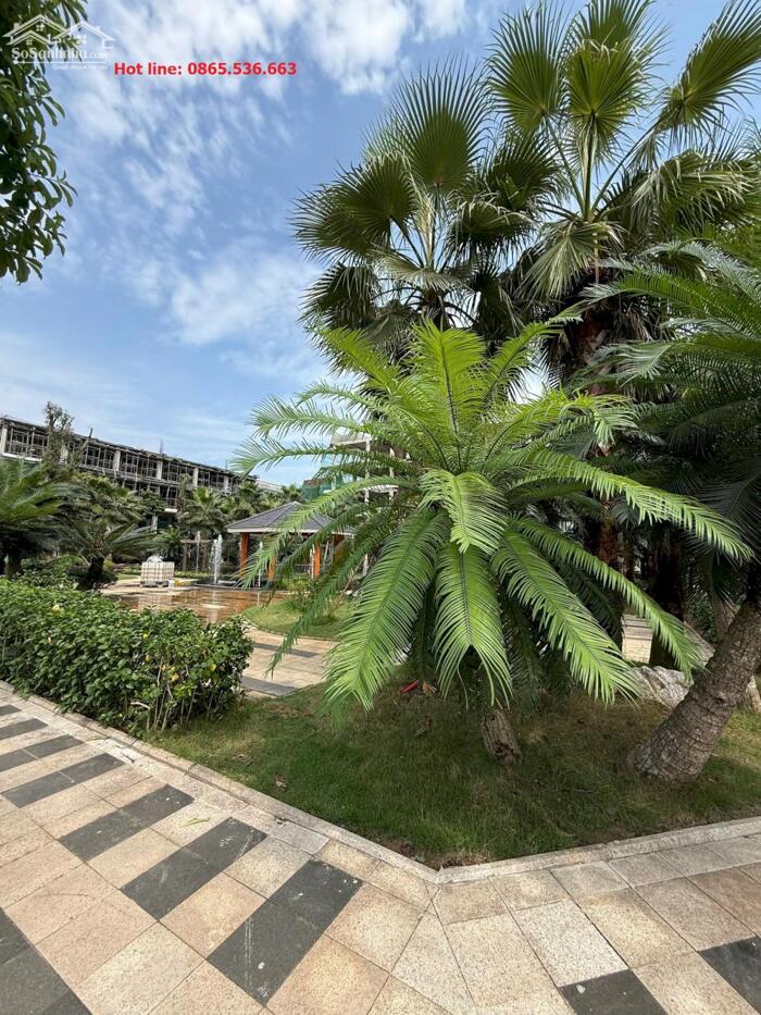 Hình ảnh DỰ KIẾN CHÁY HÀNG SAU KHI MỞ BÁN! 0