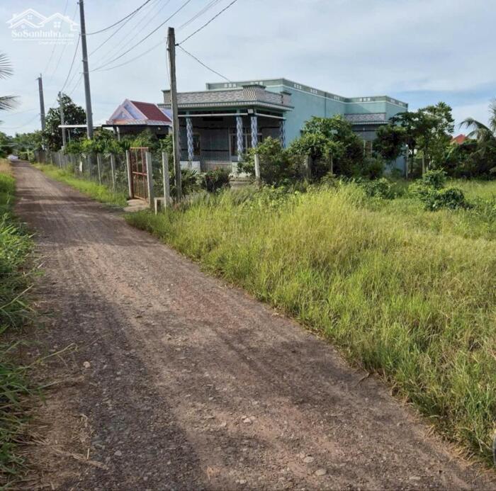 Hình ảnh Đất vườn 467m2 mt xe hơi xã Phước Tuy cần bán rẻ giá đầu tư 450tr 0