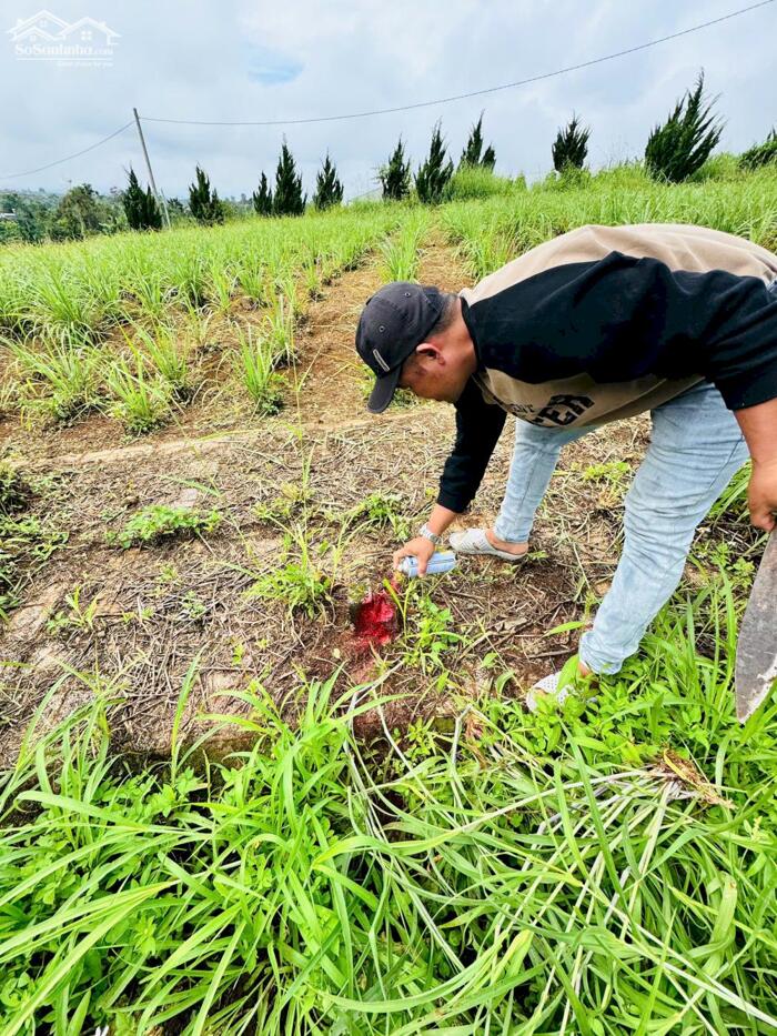 Hình ảnh Đất thổ cư Lộc An giá 550tr, đường nhựa, view đồi thoáng mát 2