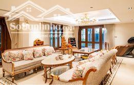 Hình ảnh Cho thuê nguyên căn Biệt Thự Làng VK Châu ÂU 260m2 0
