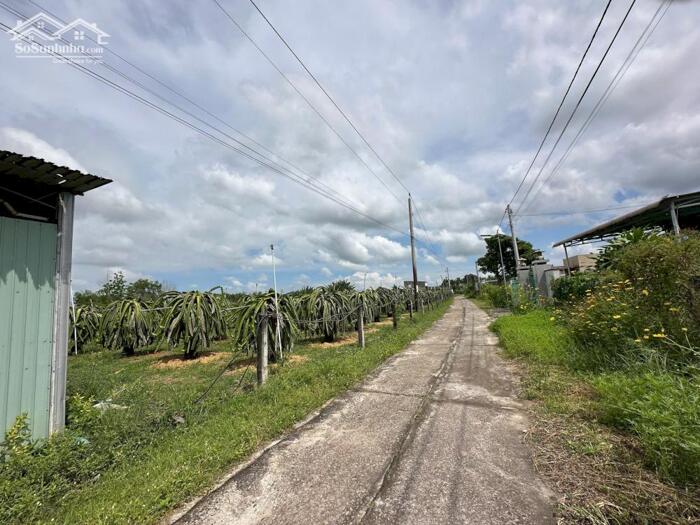 Hình ảnh Đất Sát Biển 10x38(372m2) Tân Tiến LaGi Giá Rẻ 1