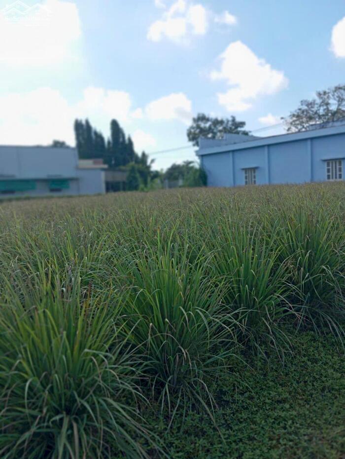 Hình ảnh B.á.n (21x23) đất nền, ôtô sát bên đường Nguyễn Thìn - ngã tư Bình Ân, Gò Công Đông, Tiền Giang cũ 3