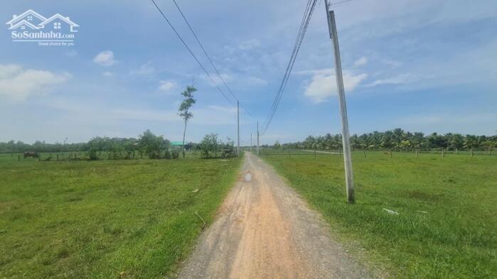 Hình ảnh bán đất thổ cư 10x38 lô 2 nguyễn thông, Tân Bình, LaGi. Giá Rẻ, Gần Biển, sổ riêng, đường oto 0