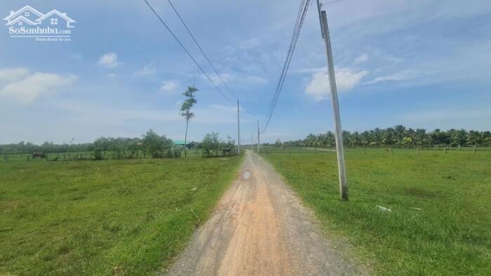 Hình ảnh bán đất thổ cư 10x38 lô 2 nguyễn thông, Tân Bình, LaGi. Giá Rẻ, Gần Biển, sổ riêng, đường oto 1