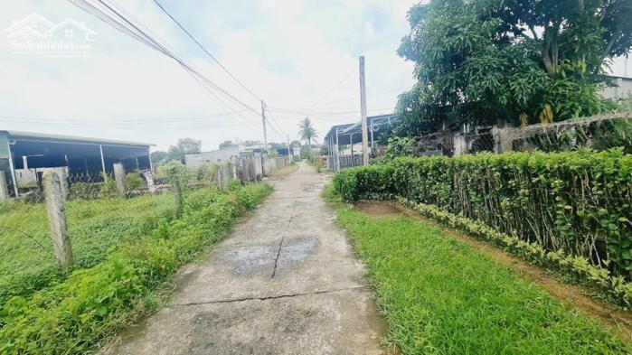 Hình ảnh bán đất thổ cư gần biênr Cam Bình, LaGi, BÌnh Thuận. DT 8x38 nở hậu 9m. sổ riêng, đường ô tô. gần dự án 577 1