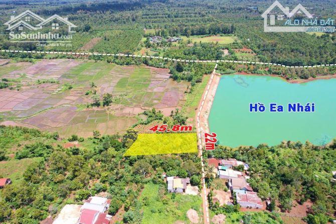 Hình ảnh Đất View Hồ Ea Nhái Tổng 1 Sào 24X43M Khu Dân Cư 1,3 Tỷ Thương Lượng Chính Chủ Quỳnh Anh 2