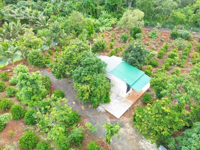 Hình ảnh 7,2 Sào Gần Nguyễn Thị Định Cách Ngã 6 Khoảng 7,5Km Sẵn Vườn Ao Và Nhà Chỉ 4Tỷ Quỳnh Anh 2