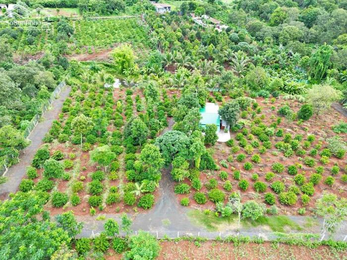 Hình ảnh 7,2 Sào Gần Nguyễn Thị Định Cách Ngã 6 Khoảng 7,5Km Sẵn Vườn Ao Và Nhà Chỉ 4Tỷ Quỳnh Anh 3