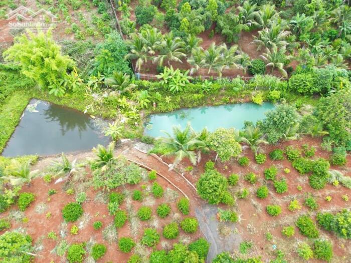 Hình ảnh 7,2 Sào Gần Nguyễn Thị Định Cách Ngã 6 Khoảng 7,5Km Sẵn Vườn Ao Và Nhà Chỉ 4Tỷ Quỳnh Anh 5