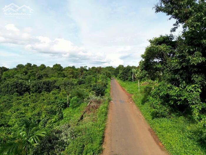 Hình ảnh 7,2 Sào Gần Nguyễn Thị Định Cách Ngã 6 Khoảng 7,5Km Sẵn Vườn Ao Và Nhà Chỉ 4Tỷ Quỳnh Anh 1