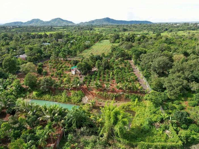 Hình ảnh 7,2 Sào Gần Nguyễn Thị Định Cách Ngã 6 Khoảng 7,5Km Sẵn Vườn Ao Và Nhà Chỉ 4Tỷ Quỳnh Anh 4