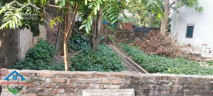 Hình ảnh Thoát Vốn - Bán đất Đại Định Tam Hưng Thanh Oai, 46m2 gần chợ, giá đầu tư 1