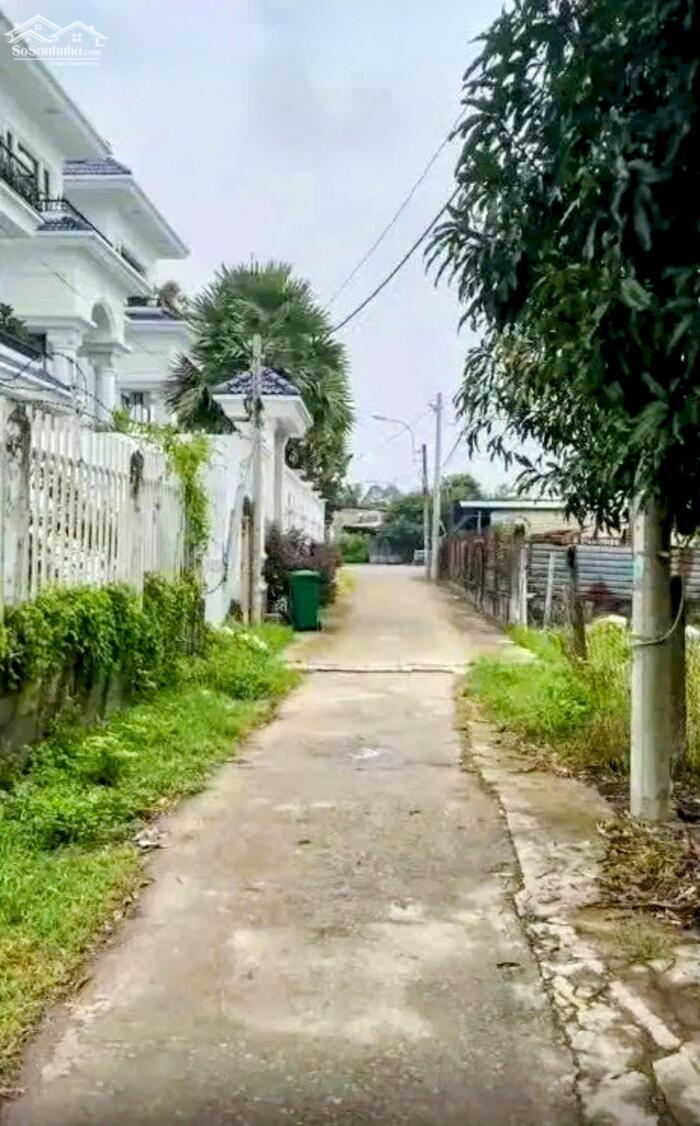 Hình ảnh Đất thổ cư 1/Mai Thị Chửng-Tân An Hội-Củ Chi.Dt 3518m2~22ty 1