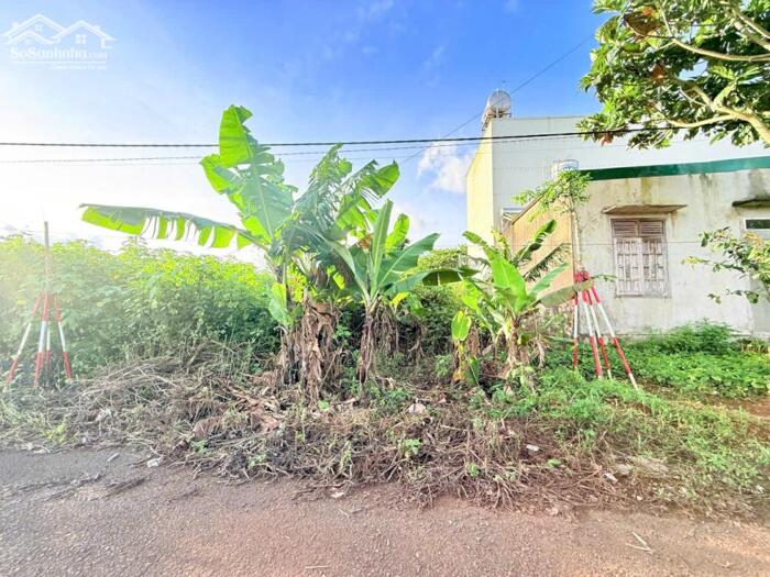 Hình ảnh BÁN NHANH ĐẤT 2 MẶT TIỀN LÊ ĐỨC THỌ 7*25 LIÊN KỀ BỆNH VIỆN NHI GIA LAI 5