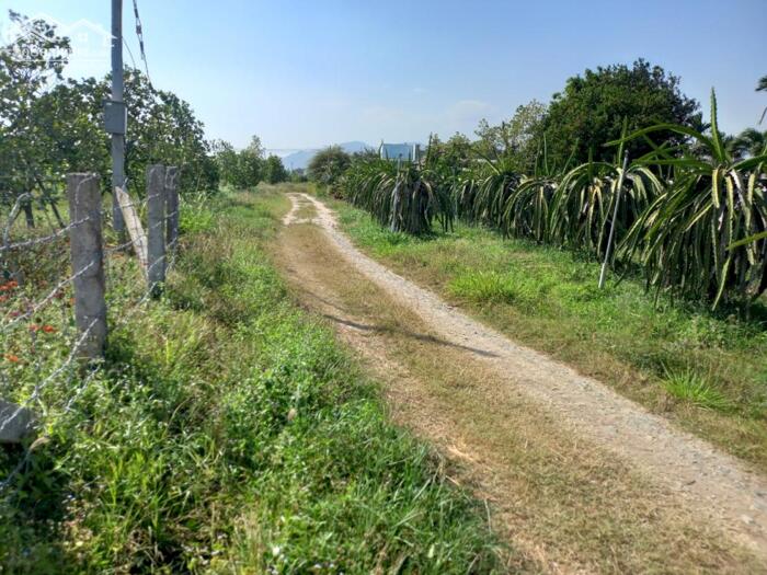 Hình ảnh Đất Ngộp gần bên QL28, thôn Bình Lâm-Hàm Liêm(Hàm Chính)-Lâm Đồng-DT 1,7 sào,mt 19m 2