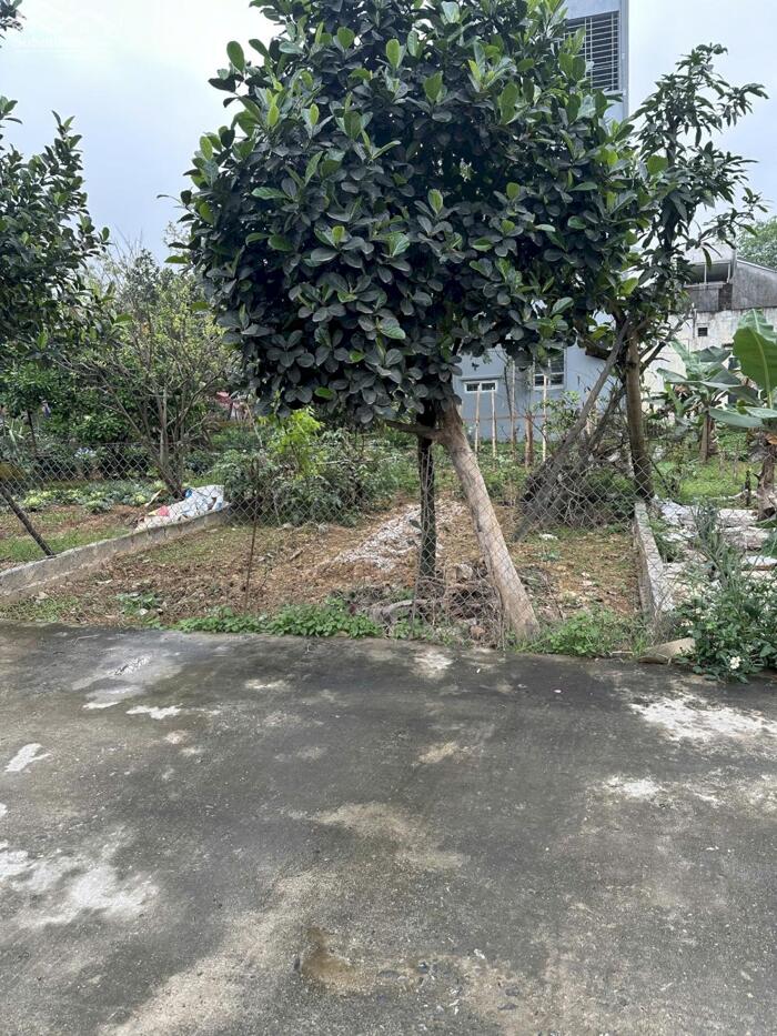 Hình ảnh ĐẤT NỀN KHU PHÂN LÔ CK2 THỦY XUÂN TIÊN, XUÂN MAI, HN s80m² MT=Hậu 5m, Đường 2 ô tô tránh. GIÁ CÒN TỐT, chỉ Hơn 2 tỷ 0